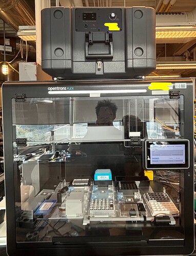 Screenshot 2025-09-30 at 4.23.19 PM