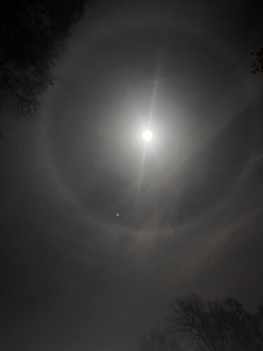 IMG_EB978BCD-C4BF-4B21-93C3-6CD64EA217E7