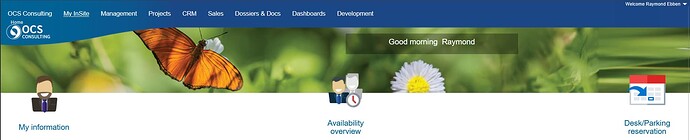 Banner-voorbeeld