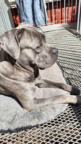 IMG_20250515_110351789_HDR