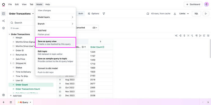 Model > Save as query view