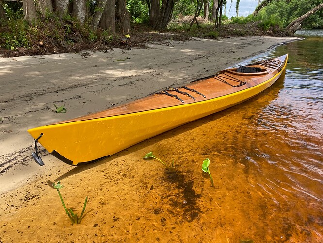 52022485721_91fdbe9476_o