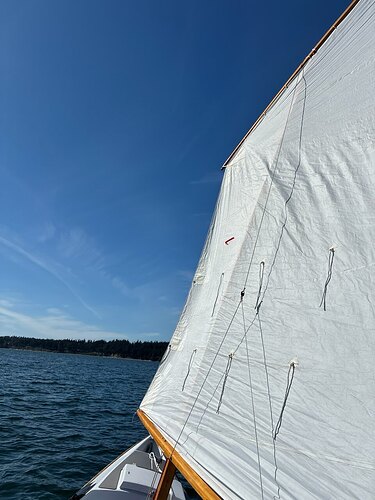 IMG_8594