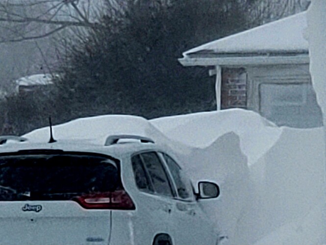 20221224_110946(1)(1)(1)