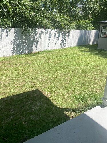 Doll's Lawn 4