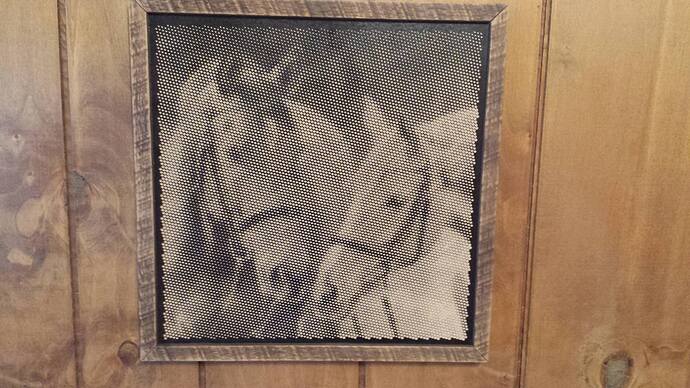 horse