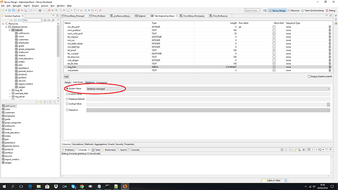 ServoyDatabase.png