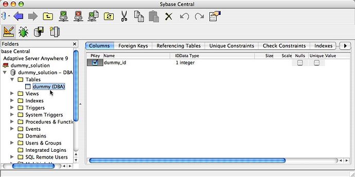 dummy_solution_sybase.jpg