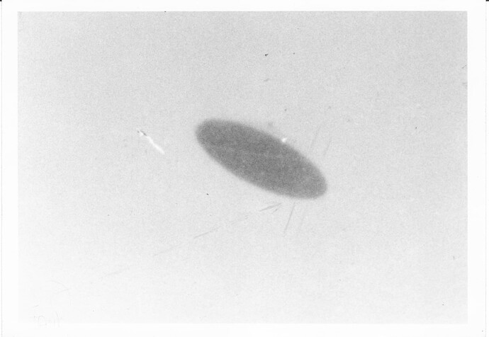 05111950-McMinnvillePhoto-Trent1_UFOA_1200dpi