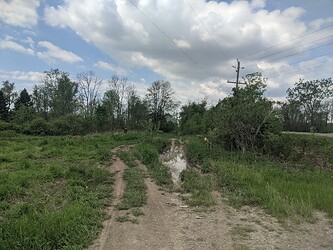 PXL_20210523_153812186