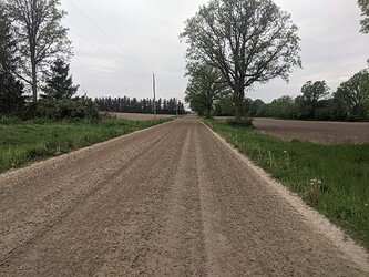 PXL_20210522_144852309