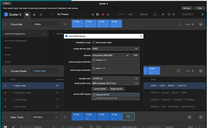 Audio-MIDI Settings.jpg