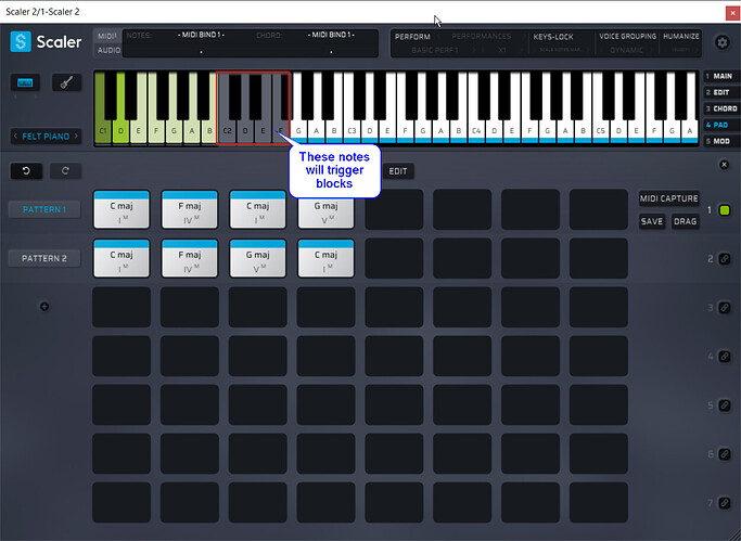 Midi Binding 22102901