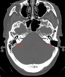 Screenshot 2025-04-07 at 12.52.35 PM