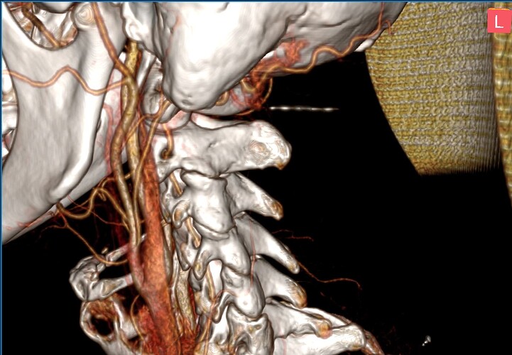 Снимок экрана 2025-06-06 в 13.00.05
