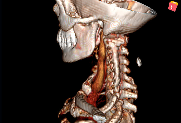 Screenshot 2025-11-25 at 11.36.59 AM