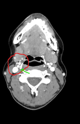 Screenshot 2025-08-28 210317