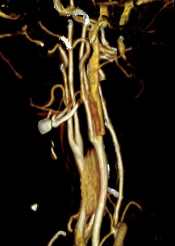 Screenshot_20251128_161215_com.android.chrome_edit_172382083321091