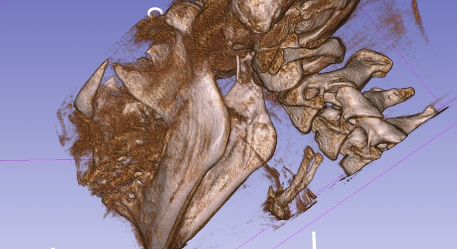 Screenshot 2025-08-21 110247