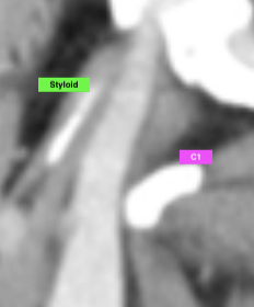 Screenshot 2025-10-12 at 8.33.02 PM