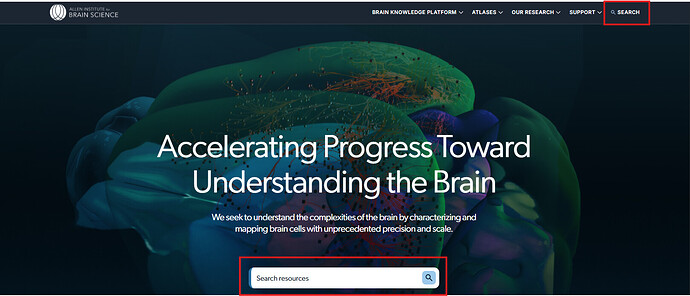 image-20251020-190442