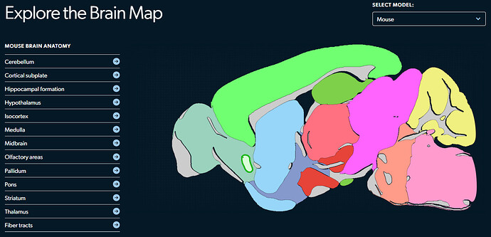 image-20251020-190827