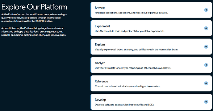 image-20251020-190730