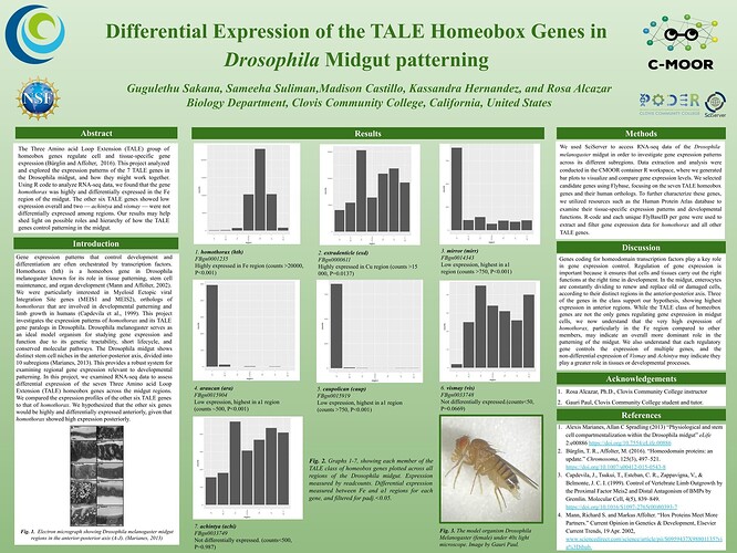 TALE HOMEOBOX GENES