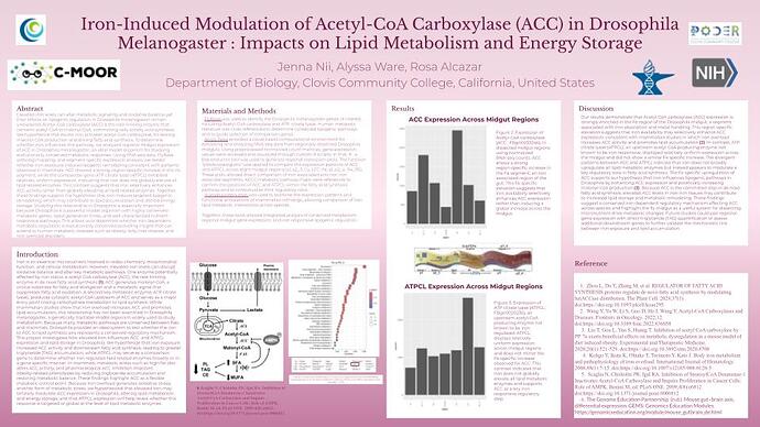 **Upload your poster draft FA25-2