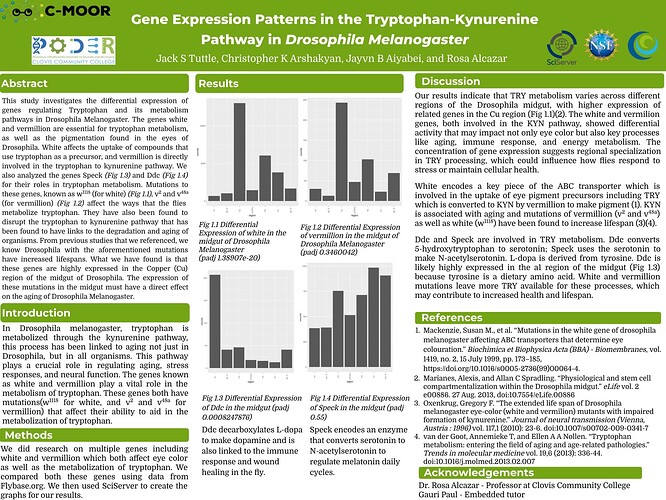 **Upload your poster to this slide deck