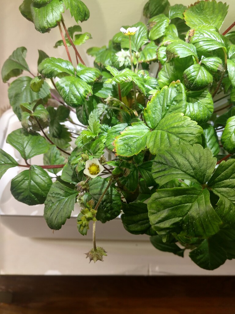 d817002cdb89d44263271118ccd4c8