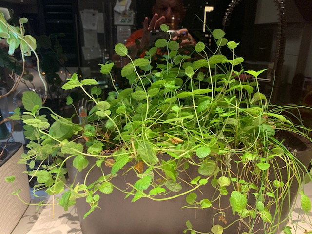 image1.jpeg