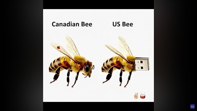 Screenshot from 2025-09-28 09-12-20