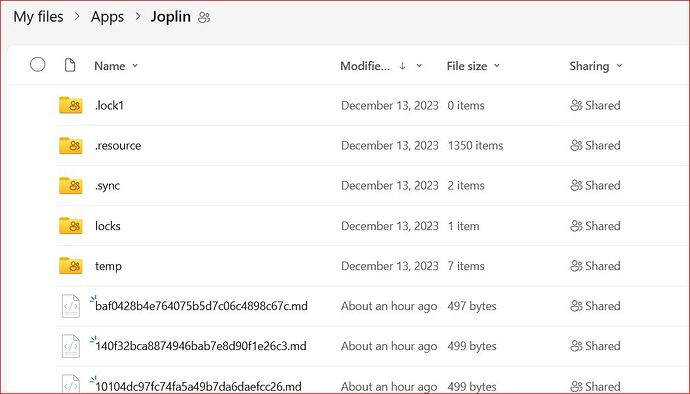 OneDrive Joplin Directories