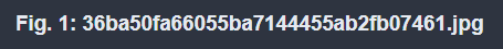 Screenshot 2024-01-25 171110.png