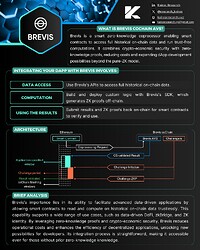 AVS | Brevis Co Chain