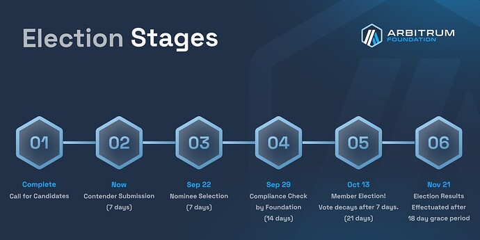 Election Stages (8)