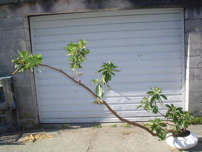 DSC00041