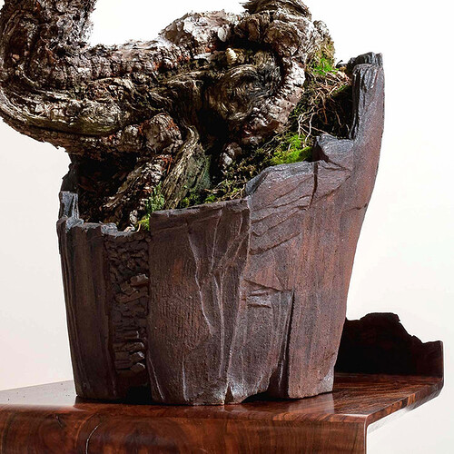 ryan_neil_ponderosa_bonsai_SMALL