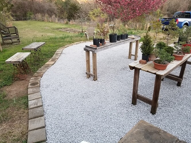 mygarden_after