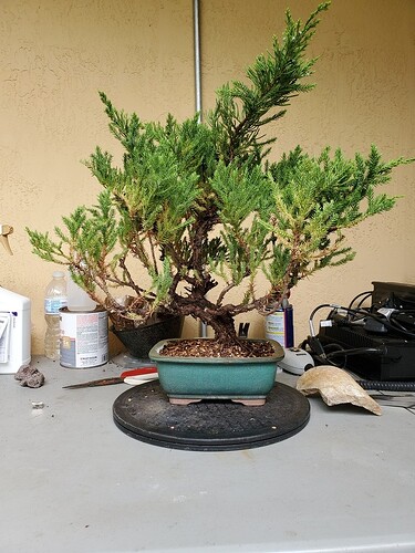 15915436975091677090055306418793