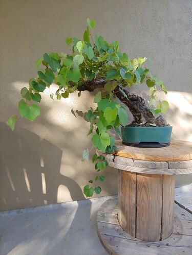 20200709_183500_HDR