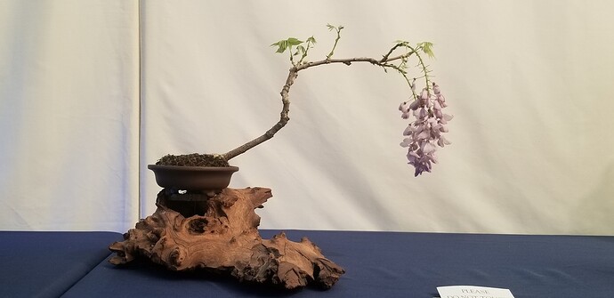 20180513_155103