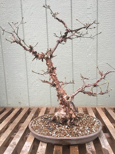 Frt 22Apr2020