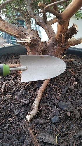 20190328_193658