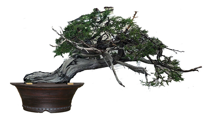 Posible Pot