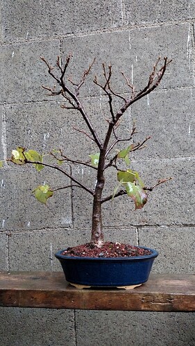 IMG_20190928_172331022