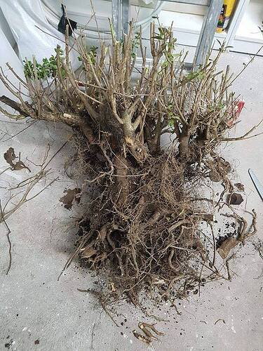 34692315_530835567313245_8531127526121013248_n