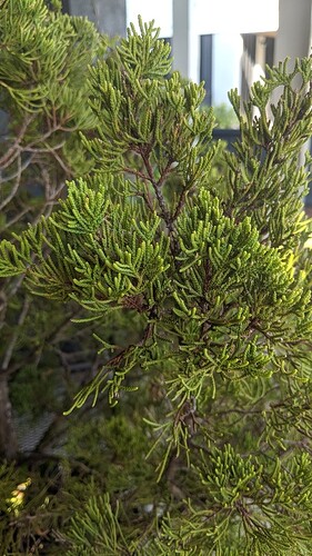 IMG_20190921_085642