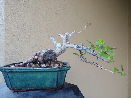 15967204004257953180178884752873